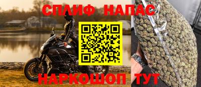 гидра Ярославль